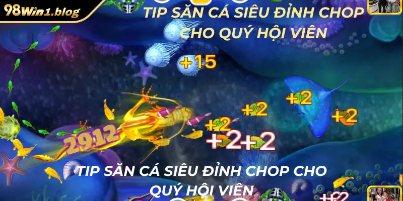 Tip săn cá siêu đỉnh chop cho quý hội viên